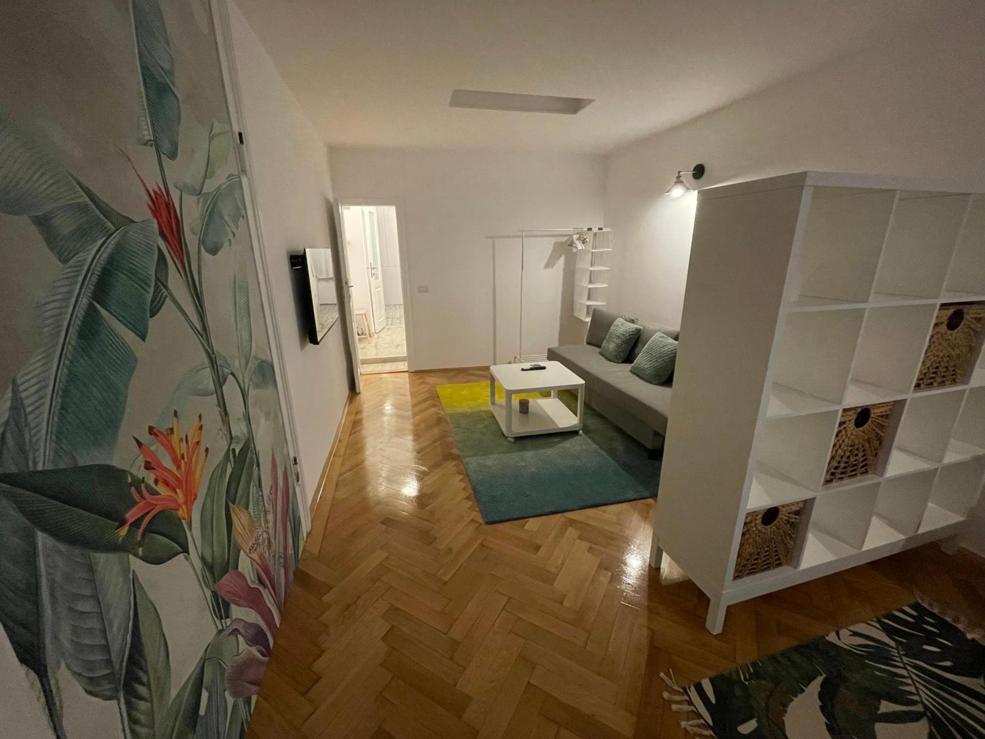 Cozy Stay Брашов Екстер'єр фото